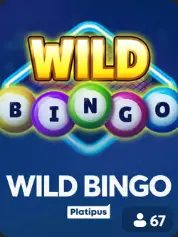 Wild Bingo vista previa de bingo