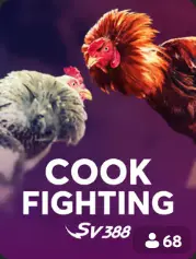 Cock Fighting vista previa de casino en vivo